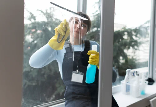 Nettoyage de vitres intérieures et extérieures à Ploumagoar
